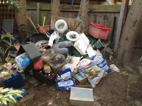Professional garden waste collection