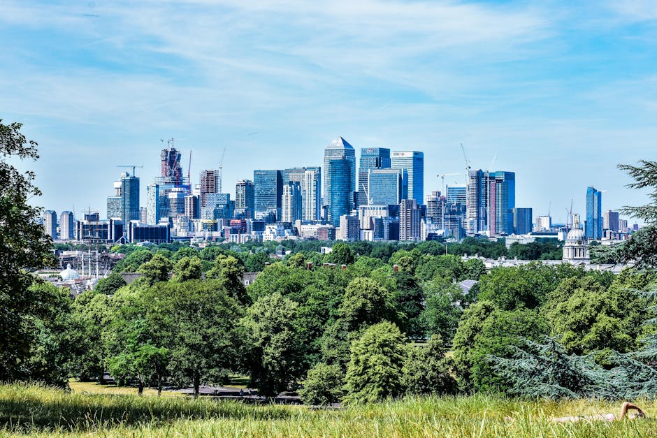 Rubbish removal services near Greenwich Park SE10