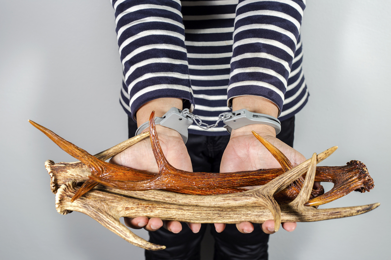 Your Guide to Saving Money on Bulky Waste Item Disposal